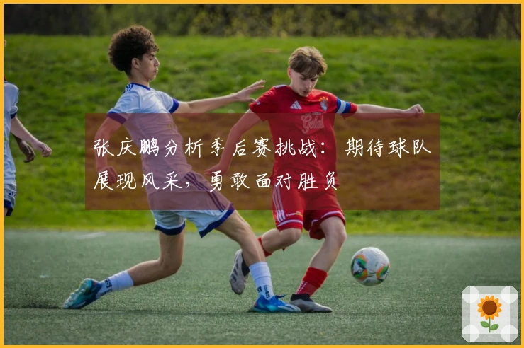 张庆鹏分析季后赛挑战：期待球队展现风采，勇敢面对胜负