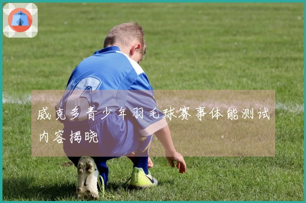 威克多青少年羽毛球赛事体能测试内容揭晓